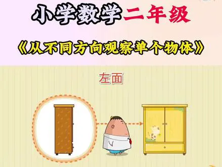 观察物体的数学奥秘