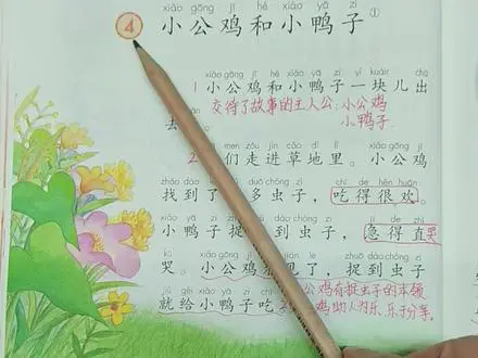 小公鸡和小鸭子的故事