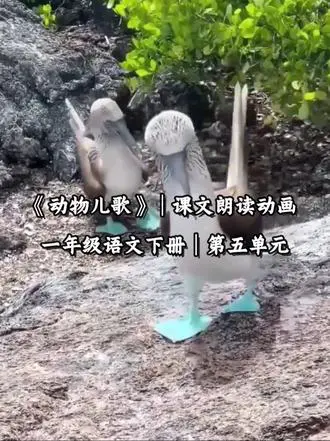 一年级动物儿歌动画