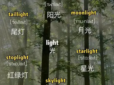 思维脑图速记light词汇