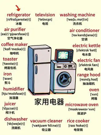 每日英语单词卡片